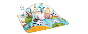 Tinylove Gymini Kick & Play Playmat