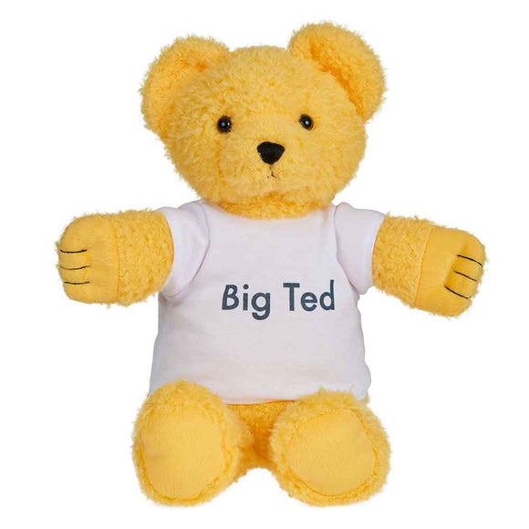 Playschool Big Ted Soft toy