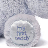 Gund My First Teddy Blue Small